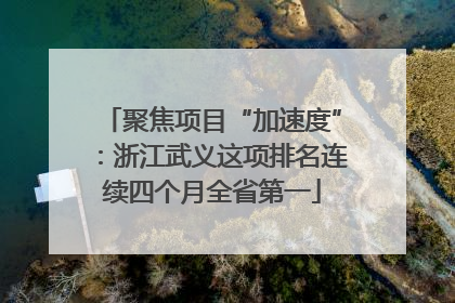 聚焦项目“加速度”：浙江武义这项排名连续四个月全省第一