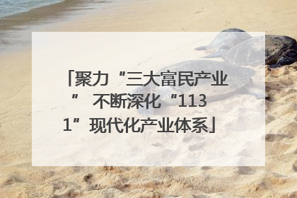 聚力“三大富民产业” 不断深化“1131”现代化产业体系