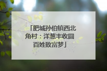 肥城孙伯镇西北角村：洋葱丰收圆百姓致富梦