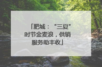 肥城：“三夏”时节金麦浪，供销服务助丰收