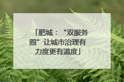 肥城：“双服务圈”让城市治理有力度更有温度