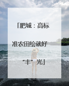 肥城：高标准农田绘就好“丰”光