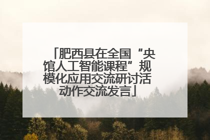 肥西县在全国“央馆人工智能课程”规模化应用交流研讨活动作交流发言