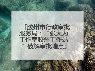 胶州市行政审批服务局：“张大为工作室胶州工作站”破解审批堵点
