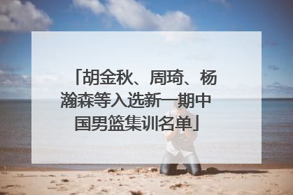 胡金秋、周琦、杨瀚森等入选新一期中国男篮集训名单