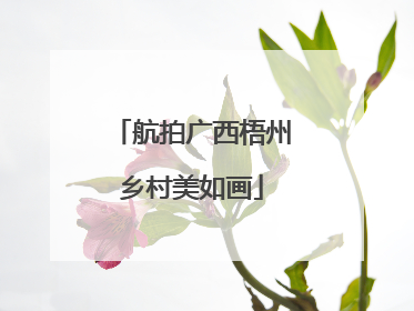 航拍广西梧州乡村美如画