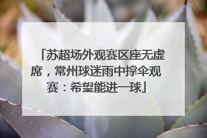 苏超场外观赛区座无虚席，常州球迷雨中撑伞观赛：希望能进一球
