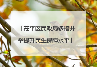 茌平区民政局多措并举提升民生保障水平