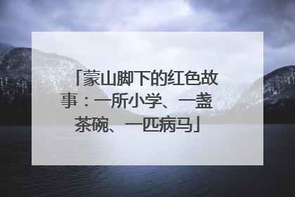 蒙山脚下的红色故事：一所小学、一盏茶碗、一匹病马