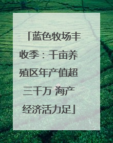 蓝色牧场丰收季：千亩养殖区年产值超三千万 海产经济活力足