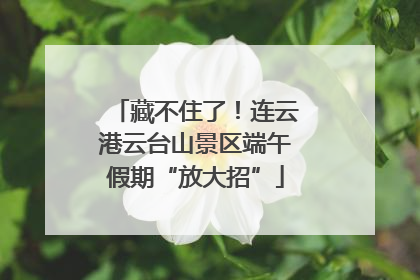 藏不住了！连云港云台山景区端午假期“放大招”