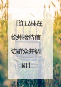 许昆林在徐州接待信访群众并调研