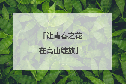 让青春之花在高山绽放