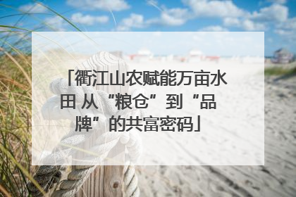 衢江山农赋能万亩水田 从“粮仓”到“品牌”的共富密码