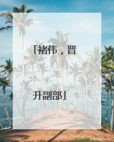 褚伟，晋升副部