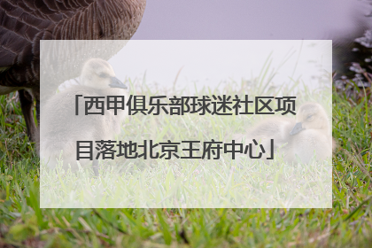 西甲俱乐部球迷社区项目落地北京王府中心
