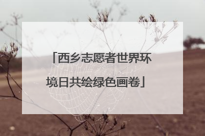 西乡志愿者世界环境日共绘绿色画卷