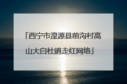 西宁市湟源县前沟村高山大白杜鹃走红网络