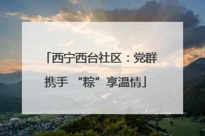 西宁西台社区：党群携手 “粽”享温情