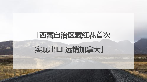 西藏自治区藏红花首次实现出口 远销加拿大
