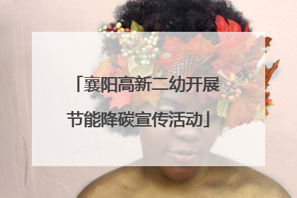 襄阳高新二幼开展节能降碳宣传活动