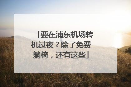 要在浦东机场转机过夜？除了免费躺椅，还有这些