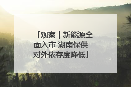 观察｜新能源全面入市 湖南保供对外依存度降低