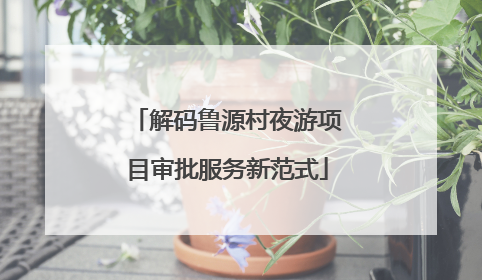 解码鲁源村夜游项目审批服务新范式