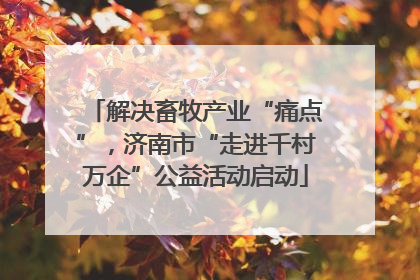 解决畜牧产业“痛点”，济南市“走进千村万企”公益活动启动
