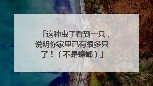 这种虫子看到一只，说明你家里已有很多只了！（不是蟑螂）