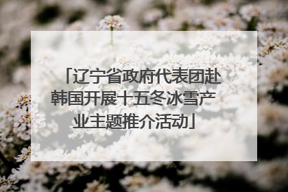 辽宁省政府代表团赴韩国开展十五冬冰雪产业主题推介活动