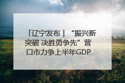 辽宁发布｜“振兴新突破 决胜勇争先”营口市力争上半年GDP增长6%左右