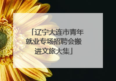辽宁大连市青年就业专场招聘会搬进文旅大集
