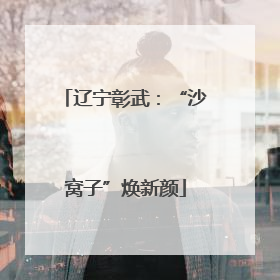 辽宁彰武：“沙窝子”焕新颜