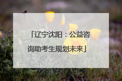 辽宁沈阳：公益咨询助考生规划未来