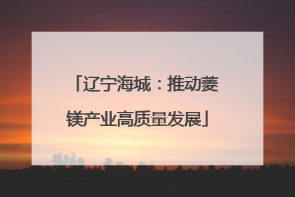 辽宁海城：推动菱镁产业高质量发展