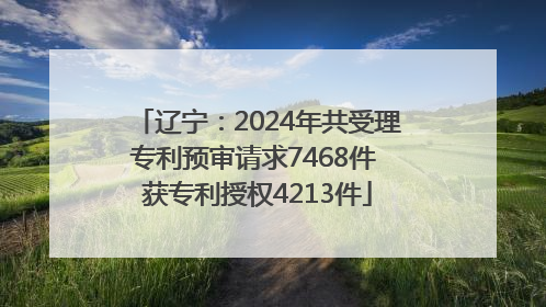 辽宁：2024年共受理专利预审请求7468件 获专利授权4213件