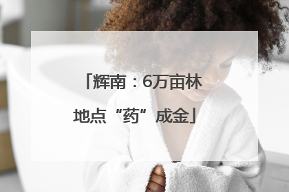 辉南：6万亩林地点“药”成金