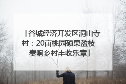 谷城经济开发区洞山寺村：20亩桃园硕果盈枝 奏响乡村丰收乐章