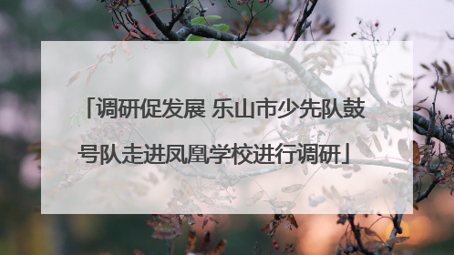调研促发展 乐山市少先队鼓号队走进凤凰学校进行调研
