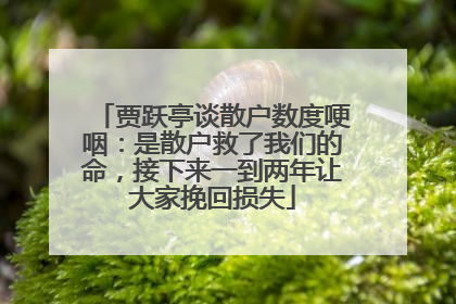 贾跃亭谈散户数度哽咽：是散户救了我们的命，接下来一到两年让大家挽回损失
