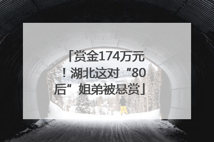 赏金174万元！湖北这对“80后”姐弟被悬赏