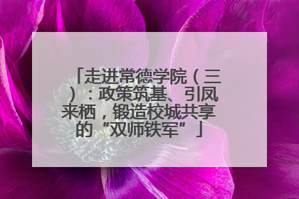 走进常德学院（三）：政策筑基、引凤来栖，锻造校城共享的“双师铁军”