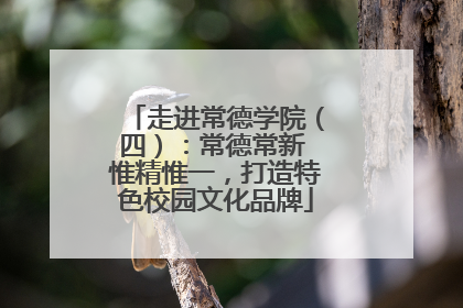 走进常德学院（四）：常德常新 惟精惟一，打造特色校园文化品牌