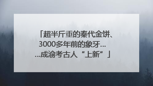 超半斤重的秦代金饼、3000多年前的象牙……成渝考古人“上新”