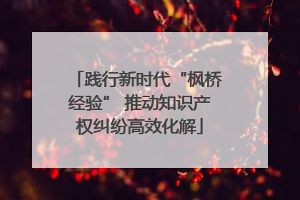 践行新时代“枫桥经验” 推动知识产权纠纷高效化解
