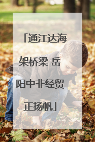 通江达海架桥梁 岳阳中非经贸正扬帆