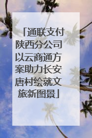 通联支付陕西分公司以云商通方案助力长安唐村绘就文旅新图景