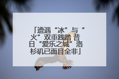 遭遇“冰”与“火”双重践踏 昔日“爱乐之城”洛杉矶已面目全非