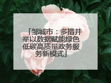 邹城市：多措并举以数据赋能绿色低碳高质量政务服务新模式